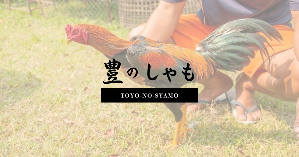 豊後大野市産ブランド地鶏「豊のしゃも」PRバナー