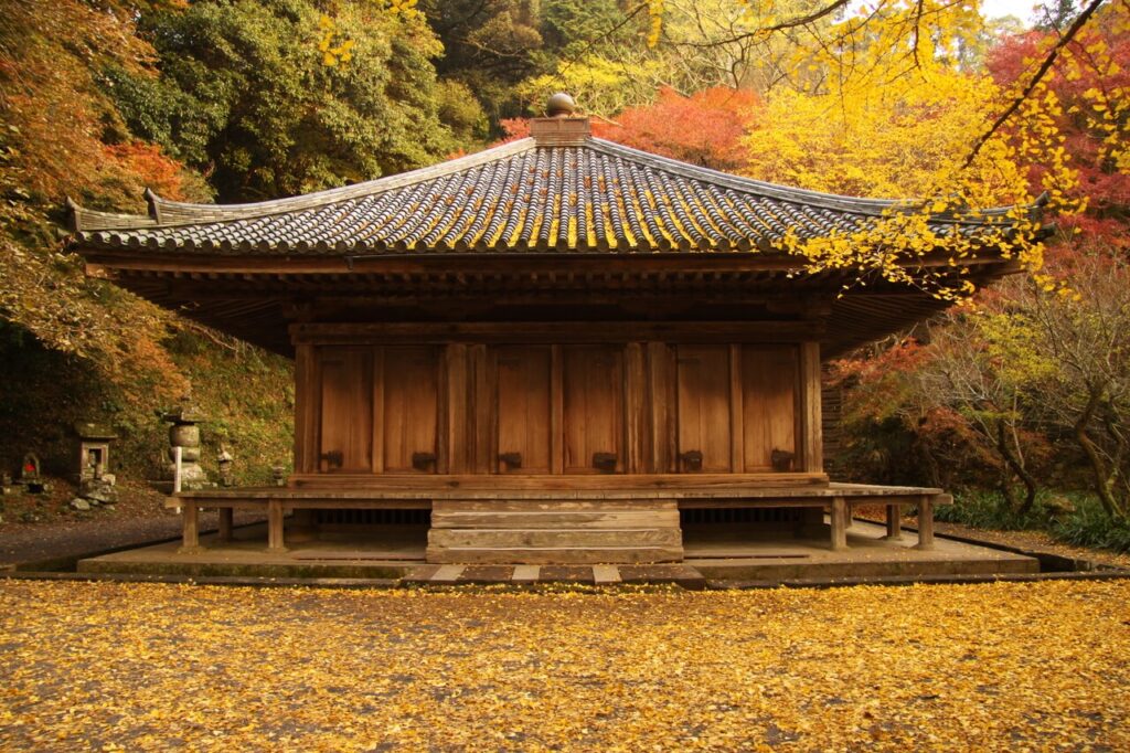 紅葉に包まれた国宝・富貴寺本堂を真正面から撮影した全景。平安時代の歴史を今に伝える建物