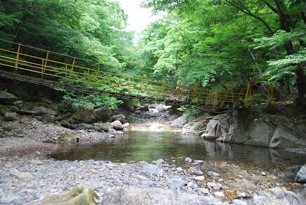 奥嶽川上流部の渓谷風景。白い花崗岩と深い森が織りなす自然豊かな景観