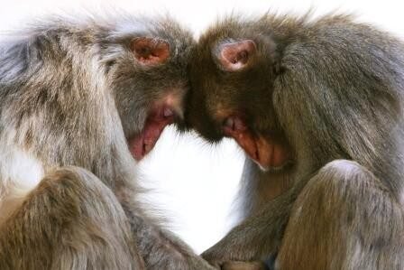 大分の終活を発信する講師の活動イメージ