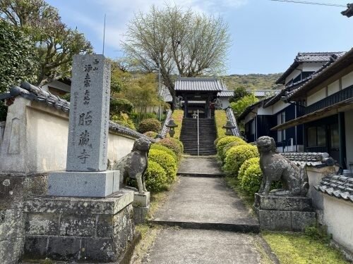 天地山胎蔵寺の参道と寺号標。石段の先に山門と石造の狛犬が並ぶ