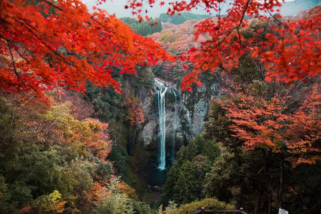 安心院の絶景スポット、鮮やかな秋の紅葉に包まれる美しい福貴野の滝(雄滝・雌滝)