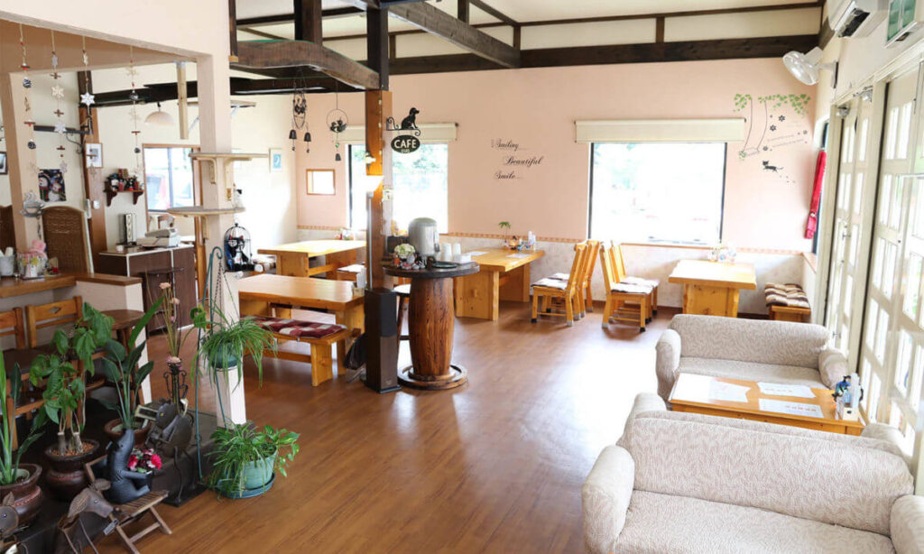木のぬくもりを感じるCafe Duoの店内（湯布院）