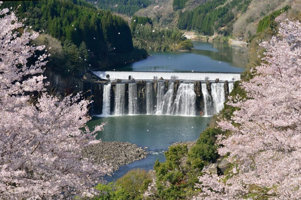 新緑の季節へと移り変わる時期に撮影された、鮮やかな桜の木々の間から望むダイナミックな沈堕の滝