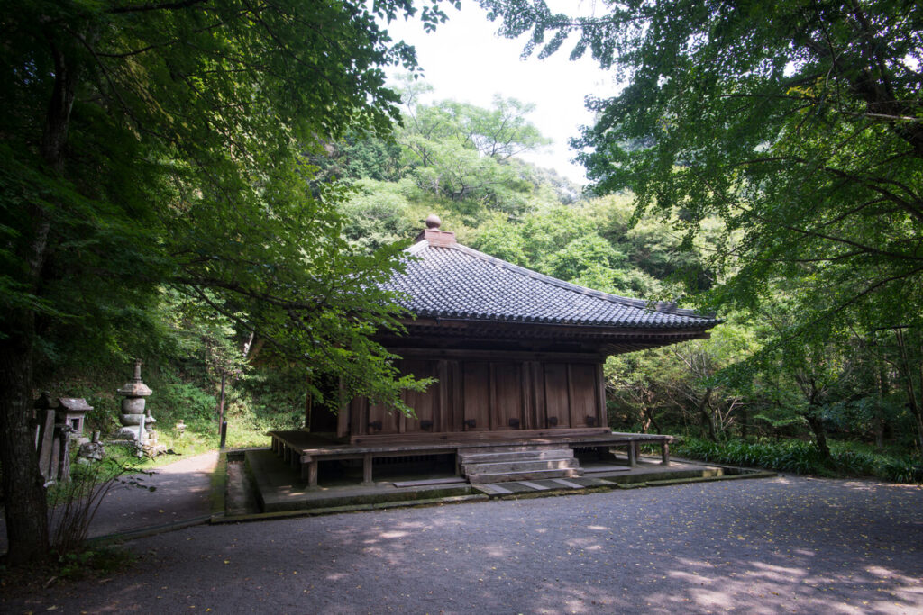 富貴寺の本堂を新緑の木々越しに撮影。鮮やかな緑に包まれた境内が、春の清々しい雰囲気を演出