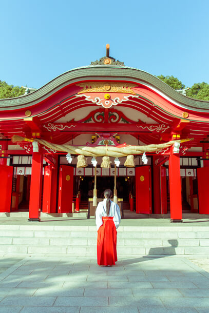 春日神社の社前に立つ巫女の後ろ姿