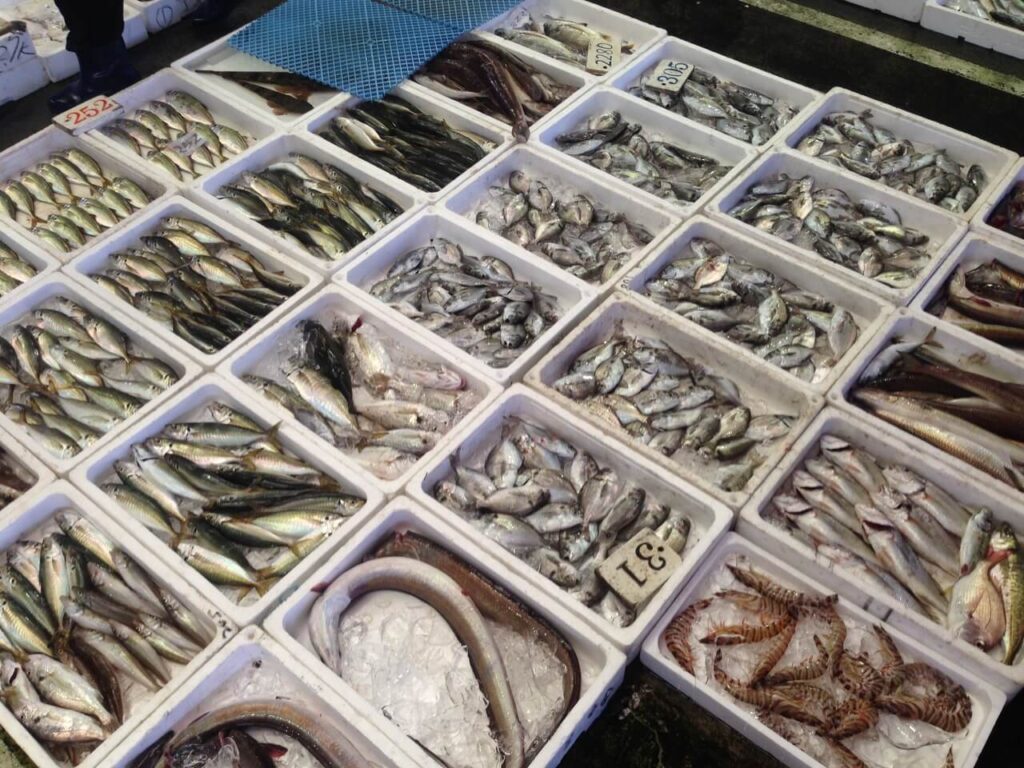 地元で水揚げされた魚が発泡スチロールに並ぶ様子（イメージ）