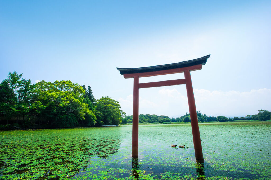 薦神社の三角池に映る鳥居｜中津市の歴史ある八幡信仰の神社