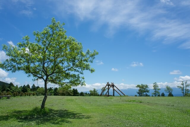 大自然の中でゆったり癒されたい方にぴったりな、青々とした美しい芝生が広がる久住高原の広場