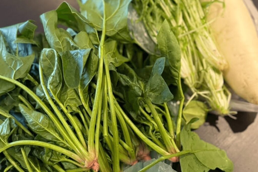 子ども食堂リトルダイナーで提供される新鮮なほうれん草と大根の野菜