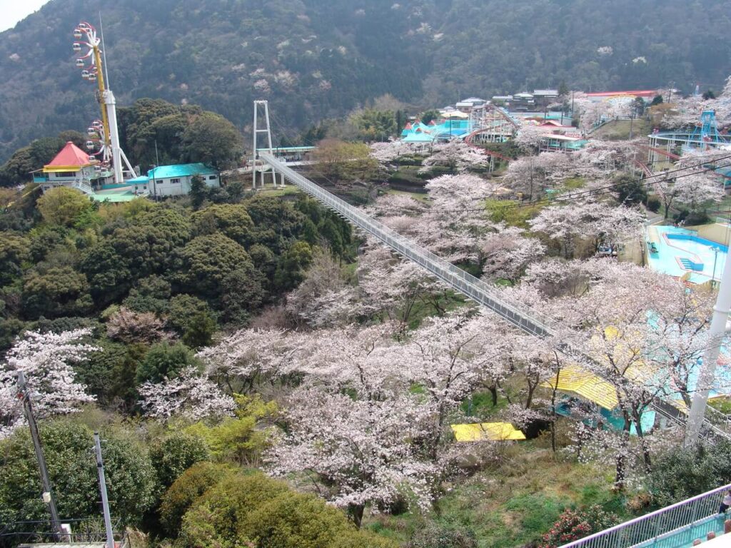 桜咲く別府ラクテンチの山上遊園地、観覧車が見える春の風景