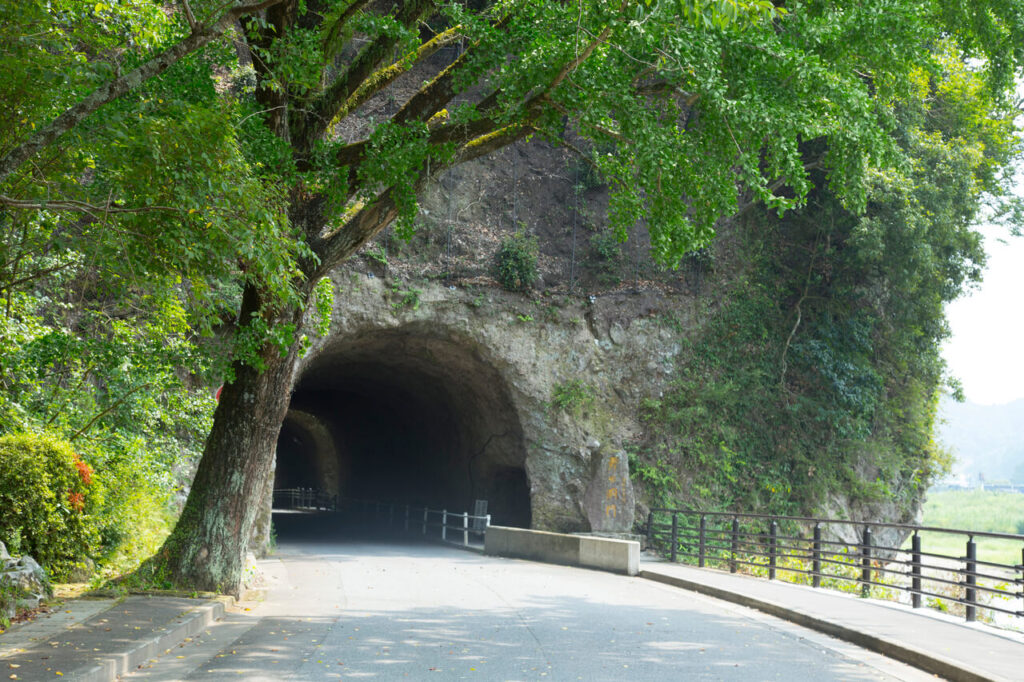青の洞門入り口付近、緑の木々と草