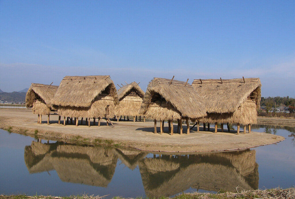 安国寺集落遺跡の床上住居を遠景で撮影