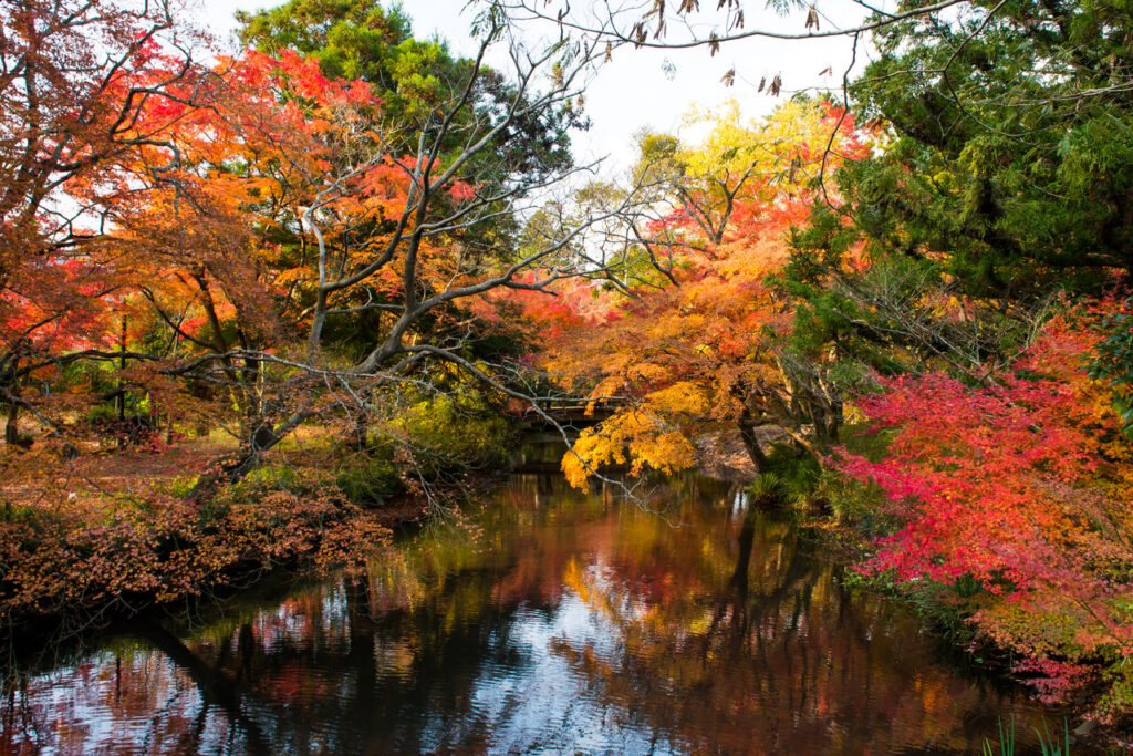 紅葉に彩られた金鱗湖と湖面に映る色づいた木々