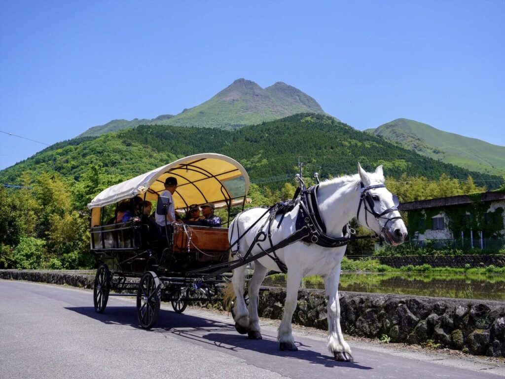 由布岳を背景に由布院観光辻馬車が観光客を乗せて走る白馬