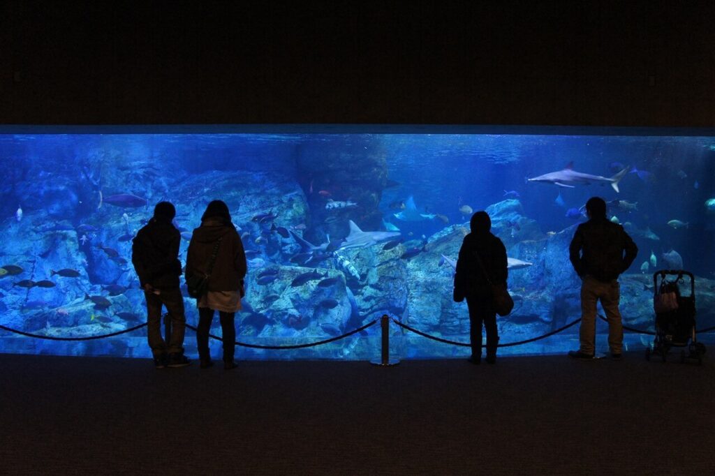 大分市・うみたまごの大水槽。雨の日でもゆっくり観賞できる人気の水族館