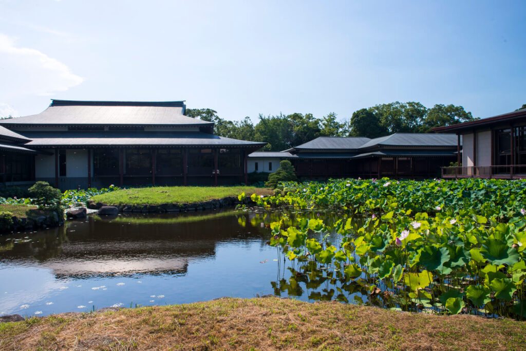 宇佐神宮 参道入口にある初沢池 池越しに見える社殿と静かな境内の景色