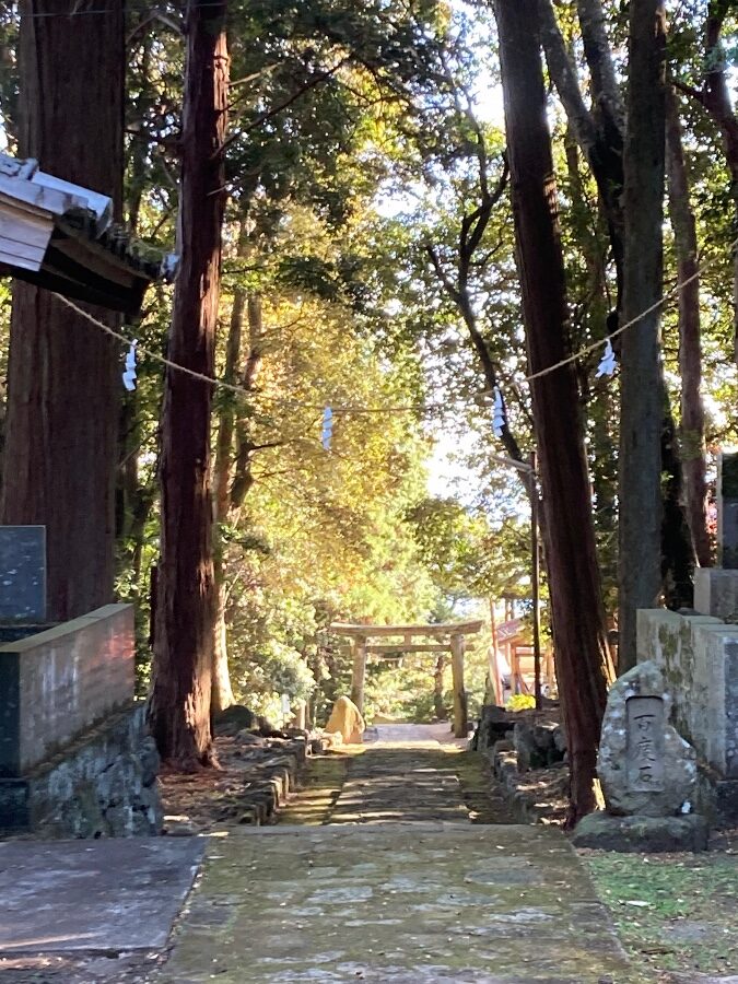 参道から望む鳥居遠景（大分県速見郡日出町豊岡）