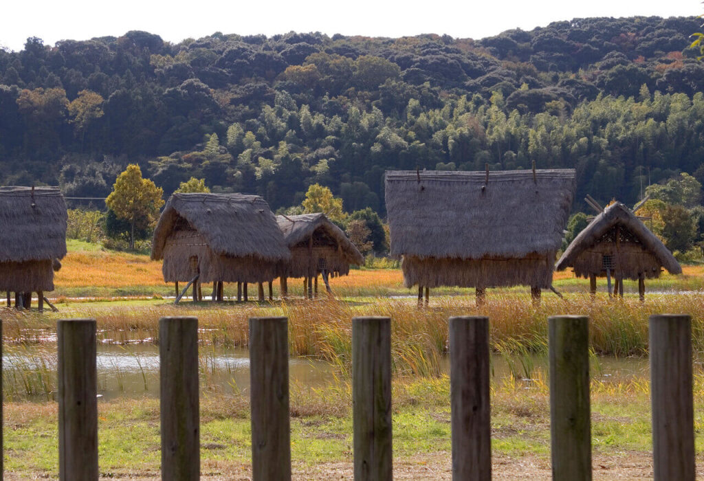 現在公開されている安国寺集落遺跡公園の高床式建物を遠景から撮影した様子