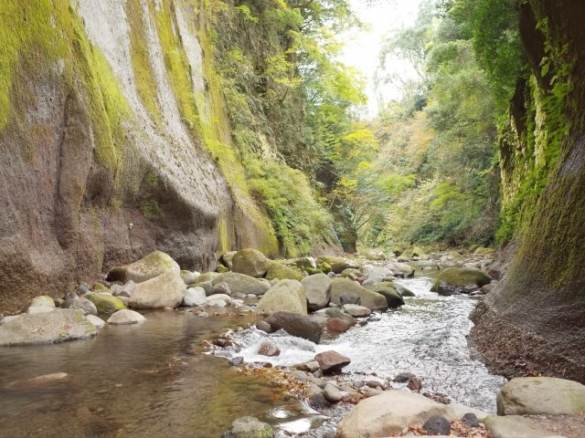 新緑と渓谷美に癒される大分穴場旅のまとめ：豊かな大自然の中にどこまでも続く由布川峡谷の全景