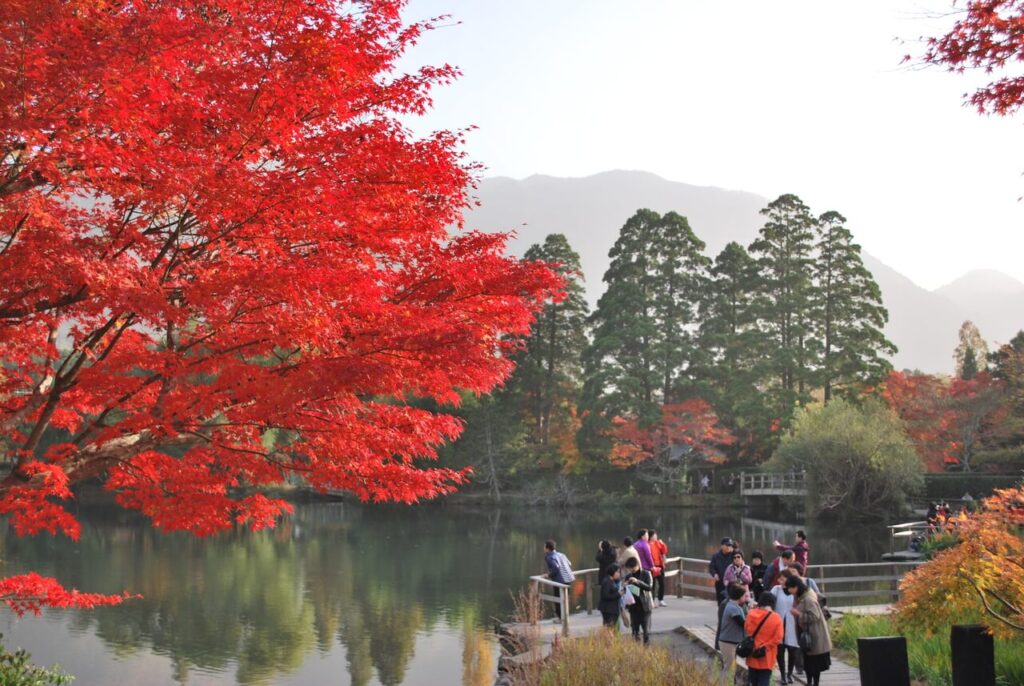 金鱗湖の紅葉と観光客