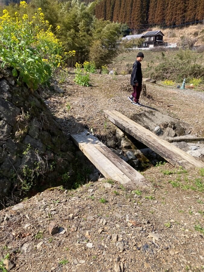 小川に廃材の板を渡して作られた一本橋。川遊び場へ向かう通路で、奥に菜の花畑と民家が広がる