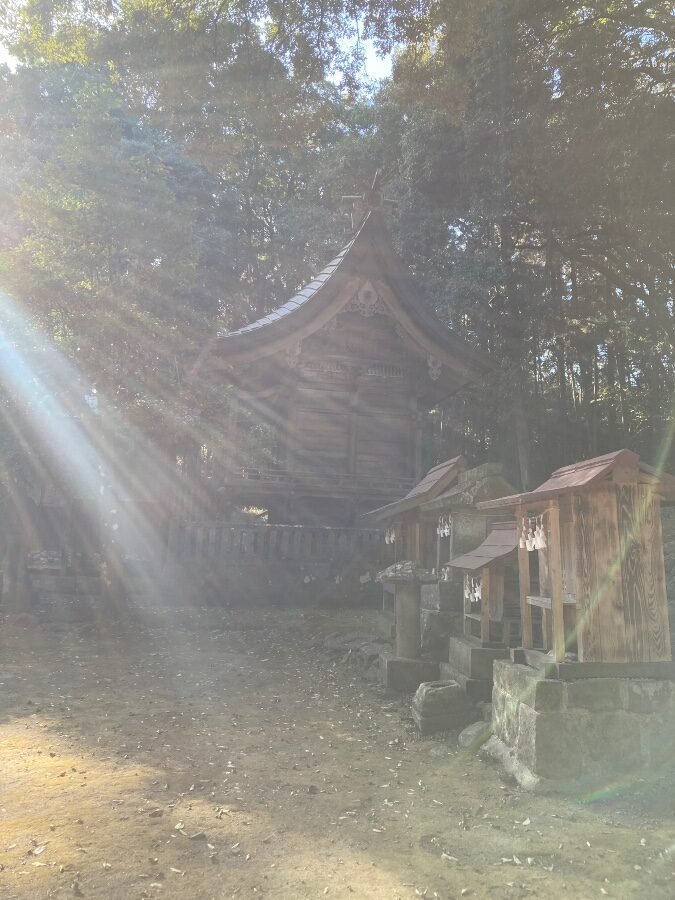 夕方の御幸（みゆき）が差し込む八津島神社境内