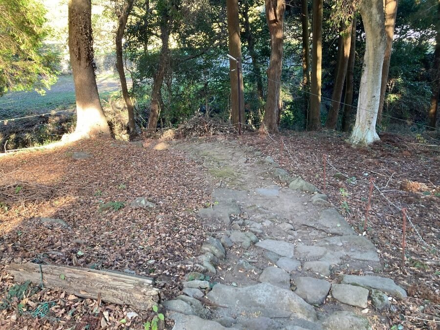 神社境内から東側へ抜ける石階段。足元に注意が必要な急勾配