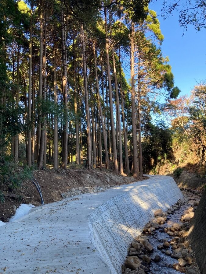 整備された宮川沿いの遊歩道。柵も設けられている