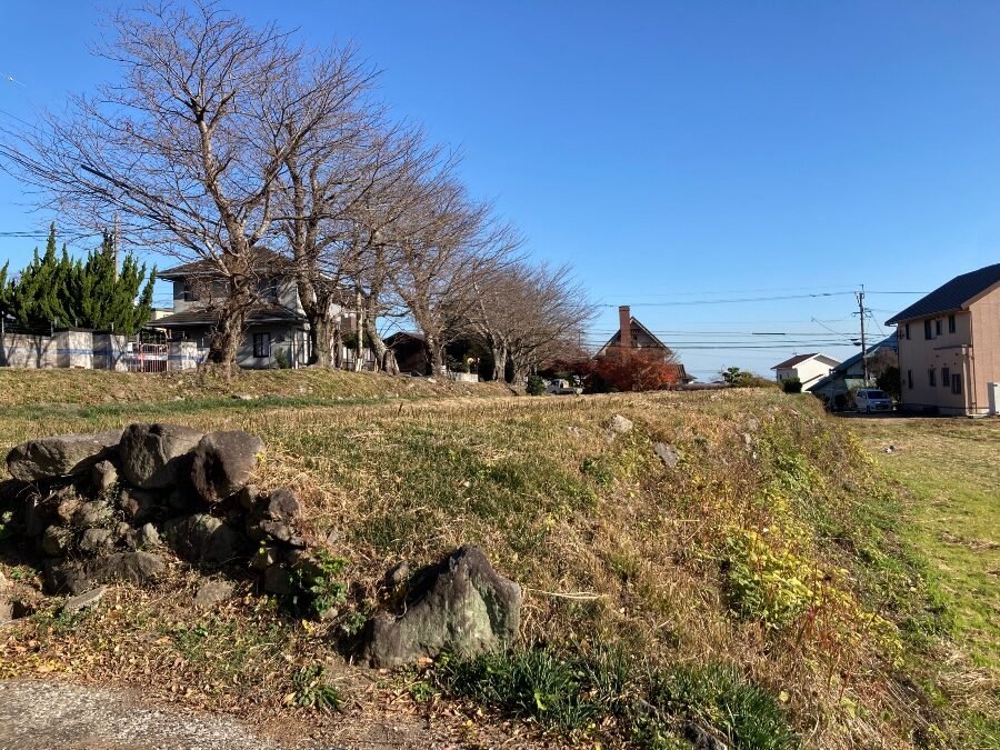 八津島神社東側の棚田と桜並木。奥に別府湾と別府市街を望む眺望
